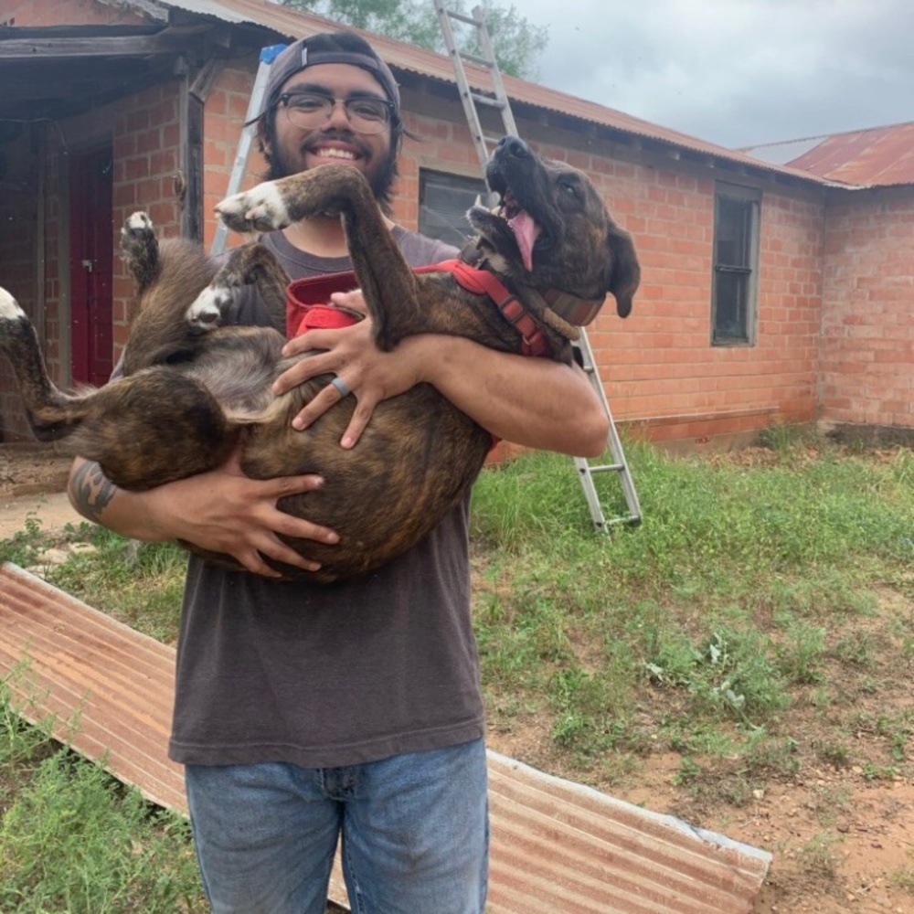 Meet your Posher, Xavier